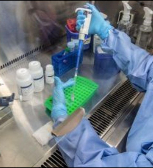 CORONAVIRUS Confirmado o primeiro caso de Covid-19 no Pará