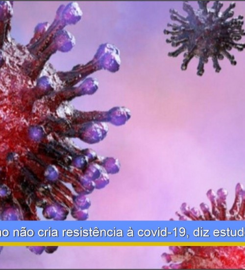 Corpo humano não cria resistência à covid-19, diz estudo