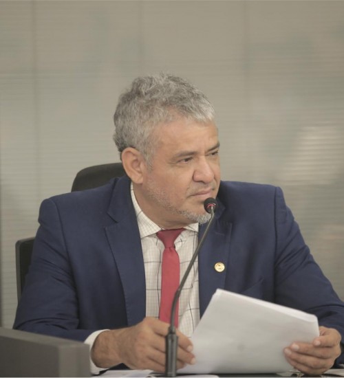 23 Projetos de Lei são apreciados pela CCJRF, em reunião na Alepa