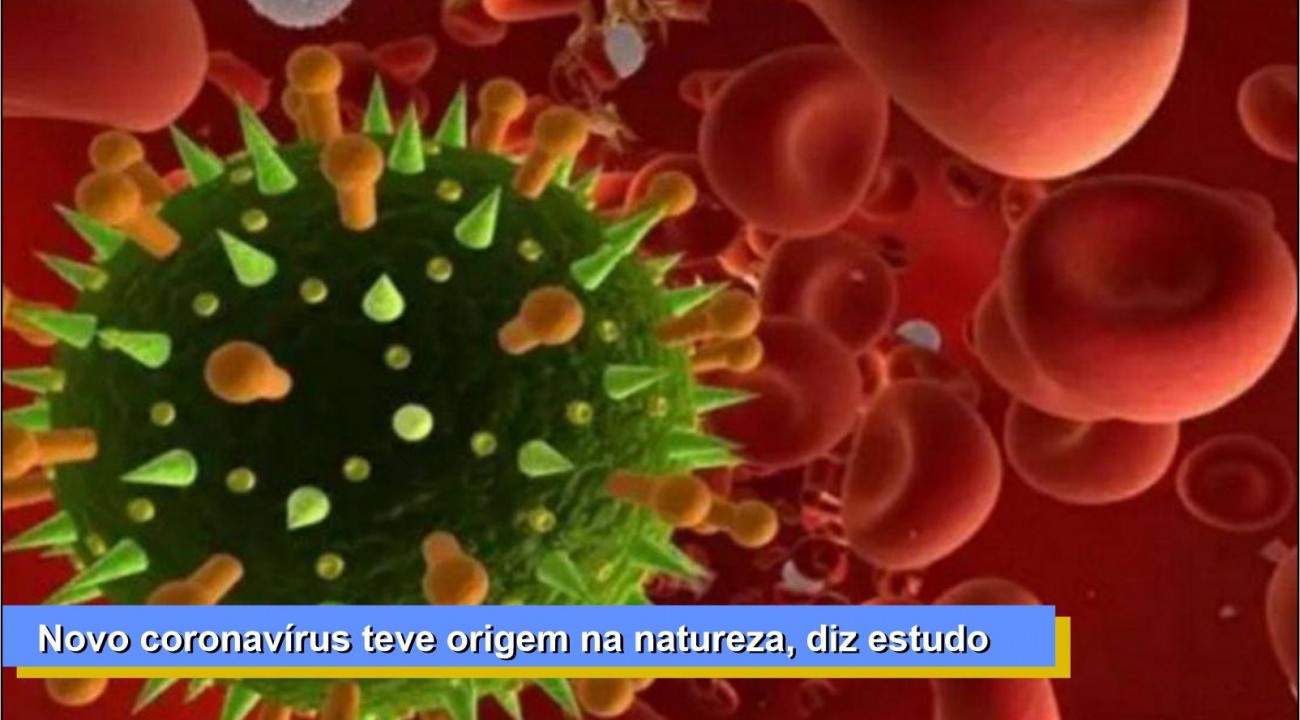 Novo coronavírus teve origem na natureza, diz estudo