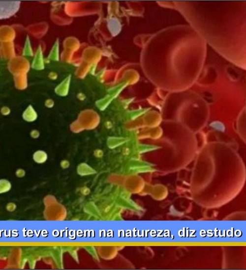 Novo coronavírus teve origem na natureza, diz estudo