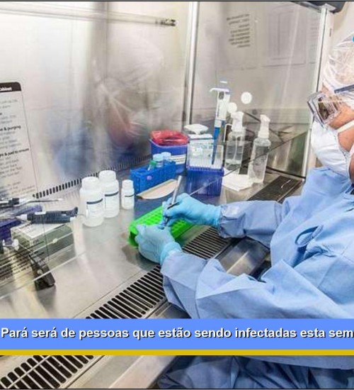 Pico de Covid-19 no Pará será de pessoas que estão sendo infectadas esta semana