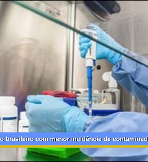 Pará é o estado brasileiro com menor incidência de contaminados
