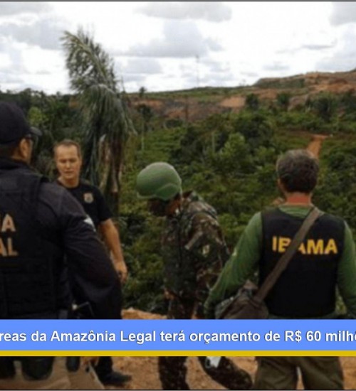 Operação em áreas da Amazônia Legal terá orçamento de R$ 60 milhões