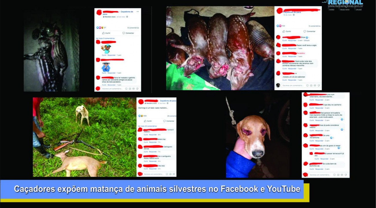 Caçadores expõem matança de animais silvestres no Facebook e YouTube